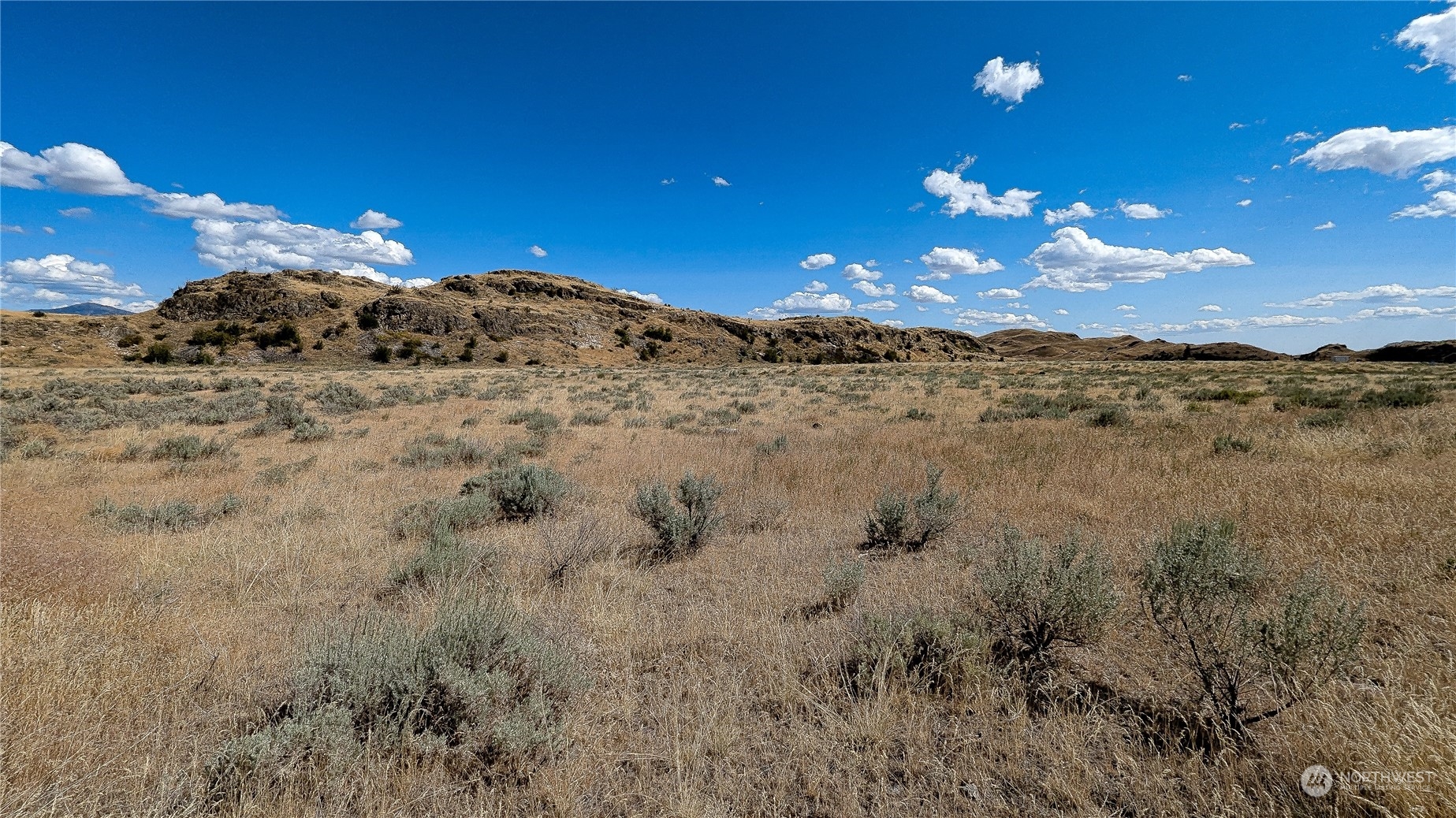 158 Riverside Cutoff Road Riverside, WA 98849 - Photo 6 of 37