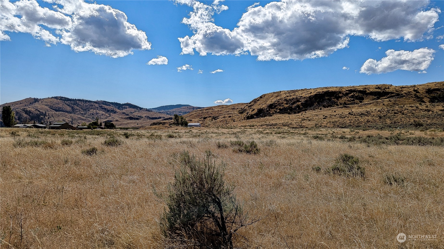 158 Riverside Cutoff Road Riverside, WA 98849 - Photo 9 of 37