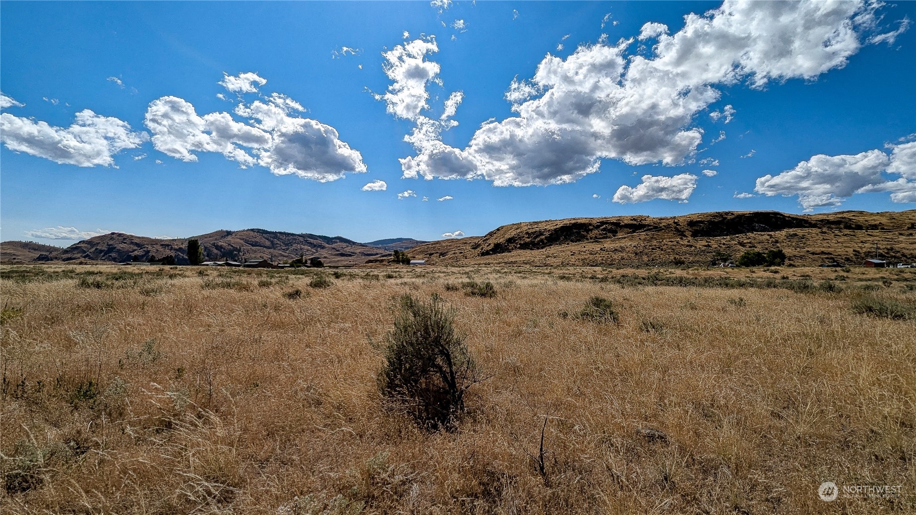 158 Riverside Cutoff Road Riverside, WA 98849 - Photo 10 of 37