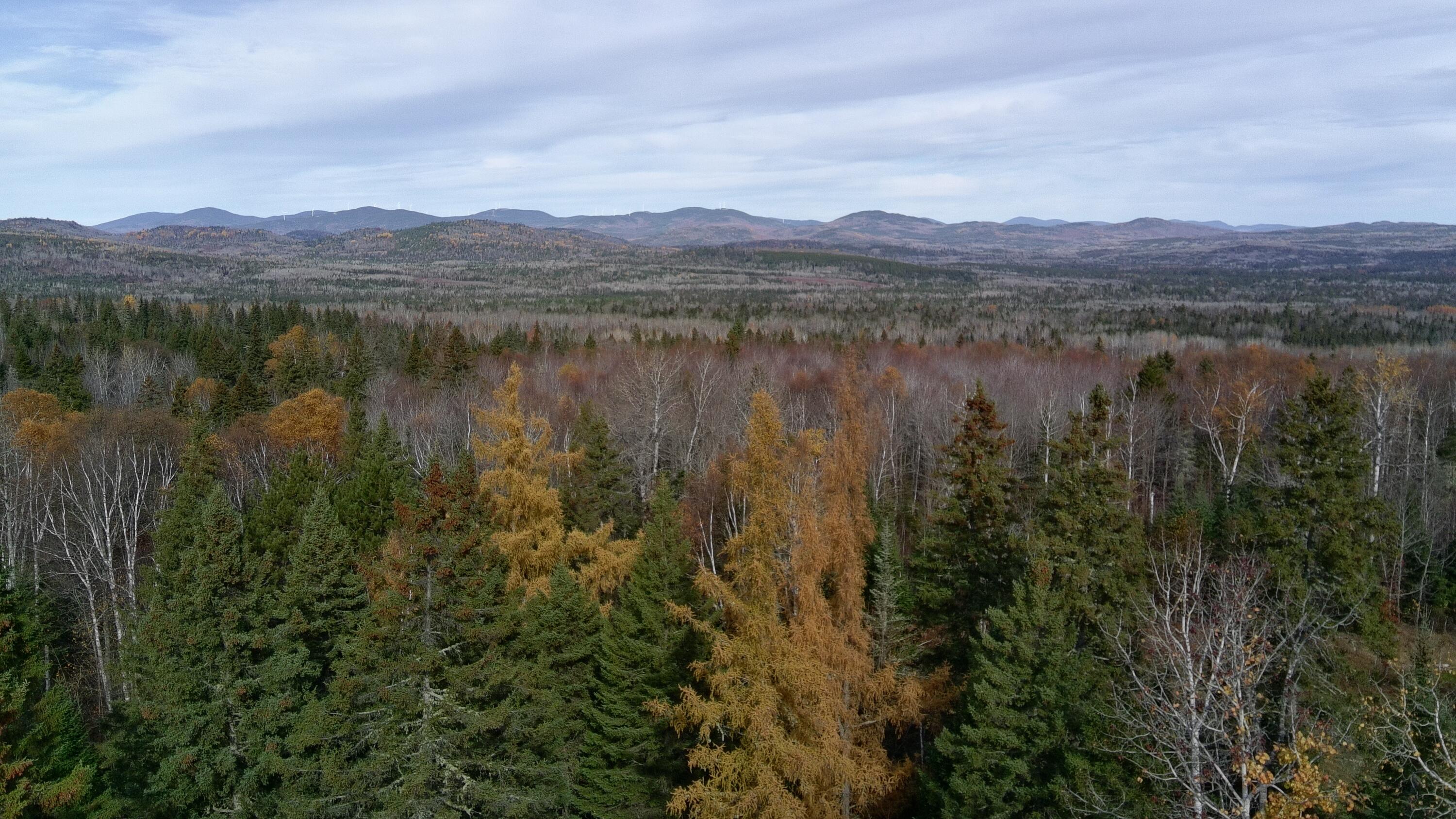 233 Porter Nadeau Road Eustis, ME 04936 - Photo 5 of 16 4647254_100DRONE_SING0024