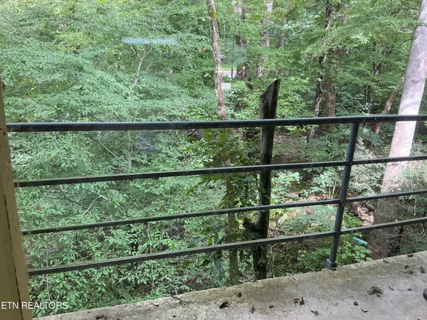 $499,000 | 4390 Cosby Highway, Cosby, TN 37722