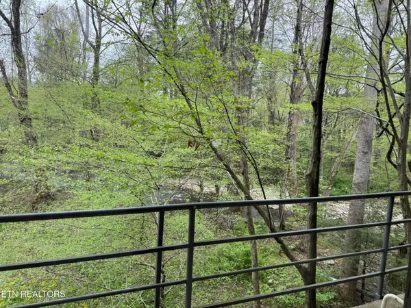 $499,000 | 4390 Cosby Highway, Cosby, TN 37722