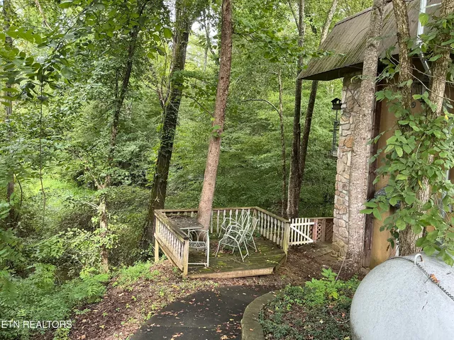 $555,000 | 4390 Cosby Highway, Cosby, TN 37722