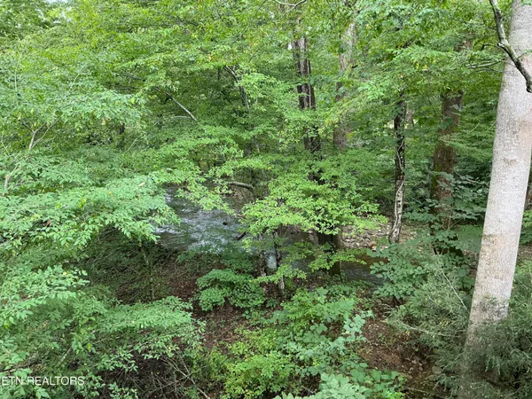 $499,000 | 4390 Cosby Highway, Cosby, TN 37722