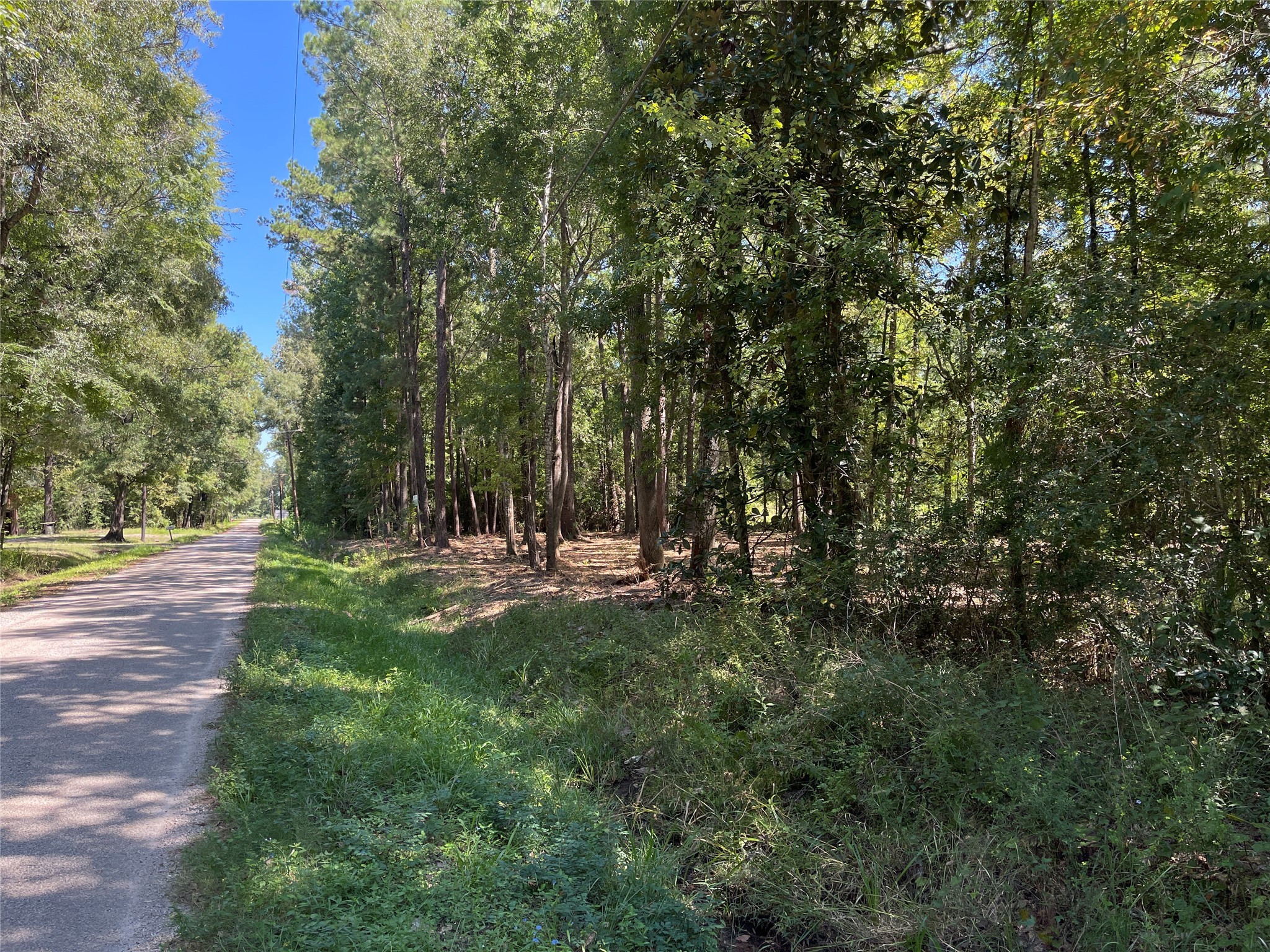 0 County Road 3812 Cleveland, TX 77328 - Photo 5 of 5 a view of a park with large trees