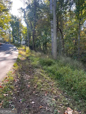 a view of a yard with trees