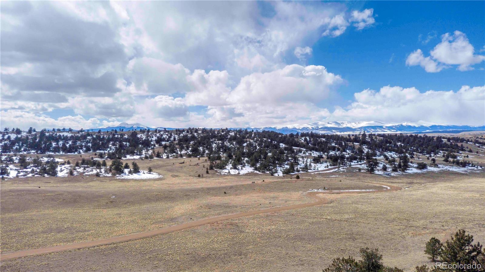 2972 Fitzsimmons Road Hartsel, CO 80449 - Photo 6 of 16