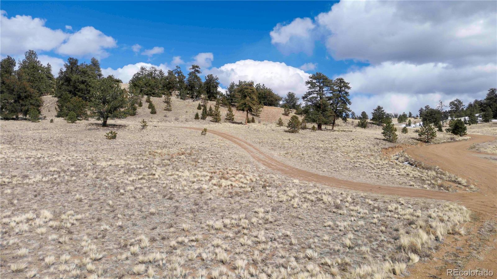 2972 Fitzsimmons Road Hartsel, CO 80449 - Photo 8 of 16