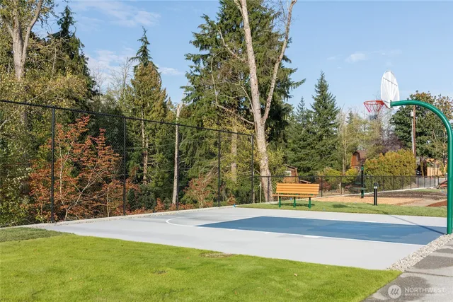 a view of a ground with large trees