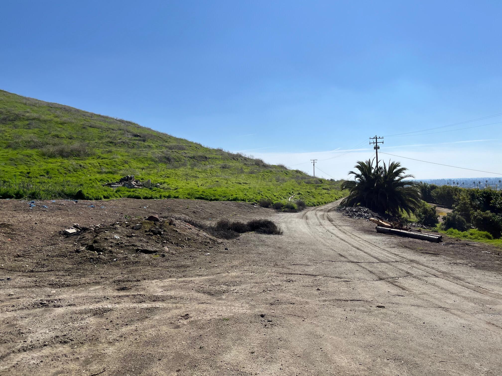 North Main & Reed Avenue Porterville, CA 93257 - Photo 5 of 42 Dirt road access on the parcels