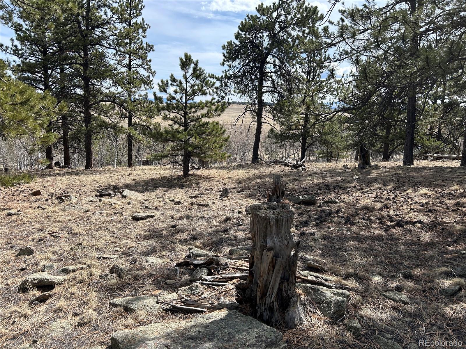 4612 Campfire Road Hartsel, CO 80449 - Photo 23 of 23