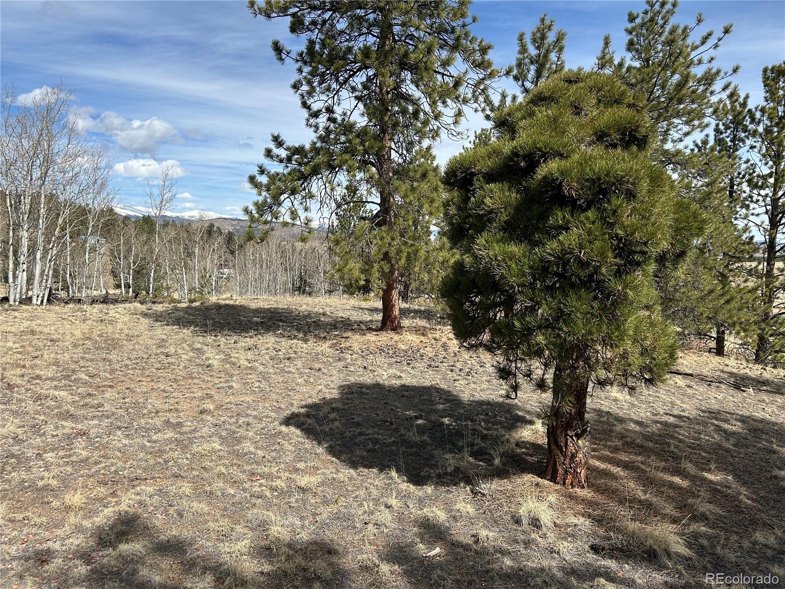 4612 Campfire Road Hartsel, CO 80449 - Photo 8 of 23