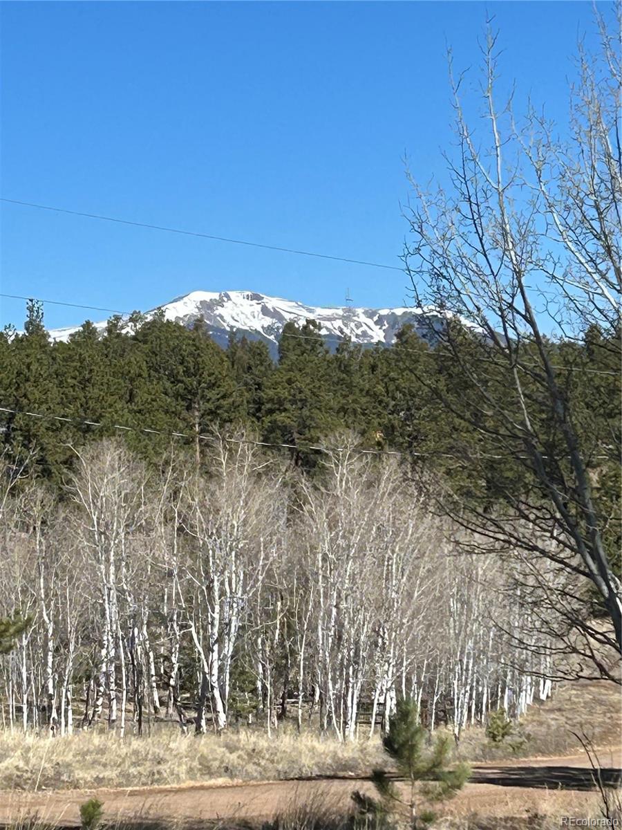 4612 Campfire Road Hartsel, CO 80449 - Photo 10 of 23