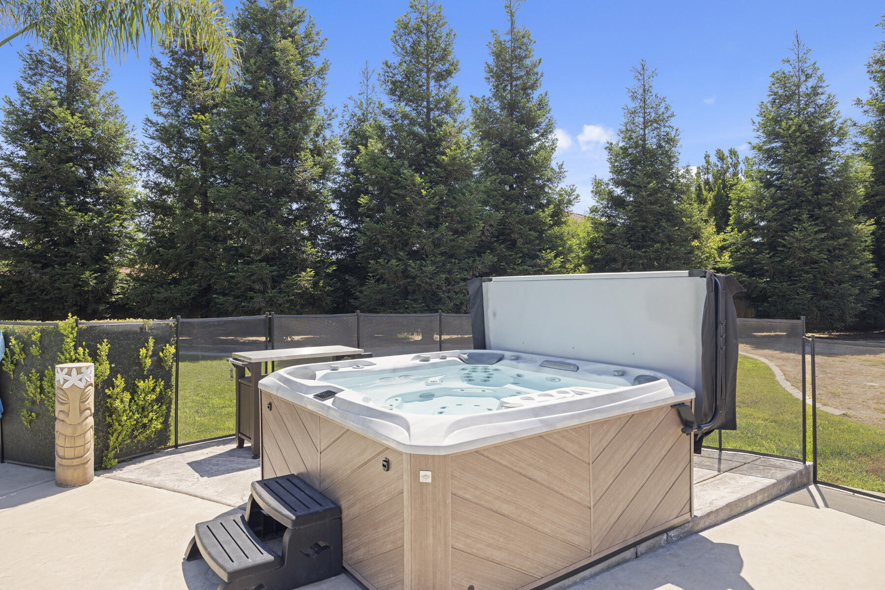 2208 West Benton Court Exeter, CA 93221 - Photo 62 of 84 62 - Spa (2)