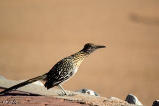 0 West Iver Road, Unit 43 & 35 Aguila, AZ 85320 - Photo 18 of 19 a view of a terrace and a sink