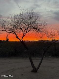 0 West Iver Road, Unit 43 & 35 Aguila, AZ 85320 - Photo 6 of 19 a view of tree in front of a house