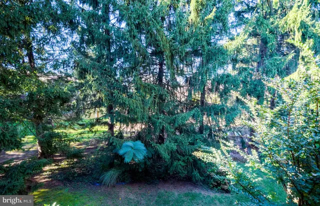 a backyard of a house with lots of green space