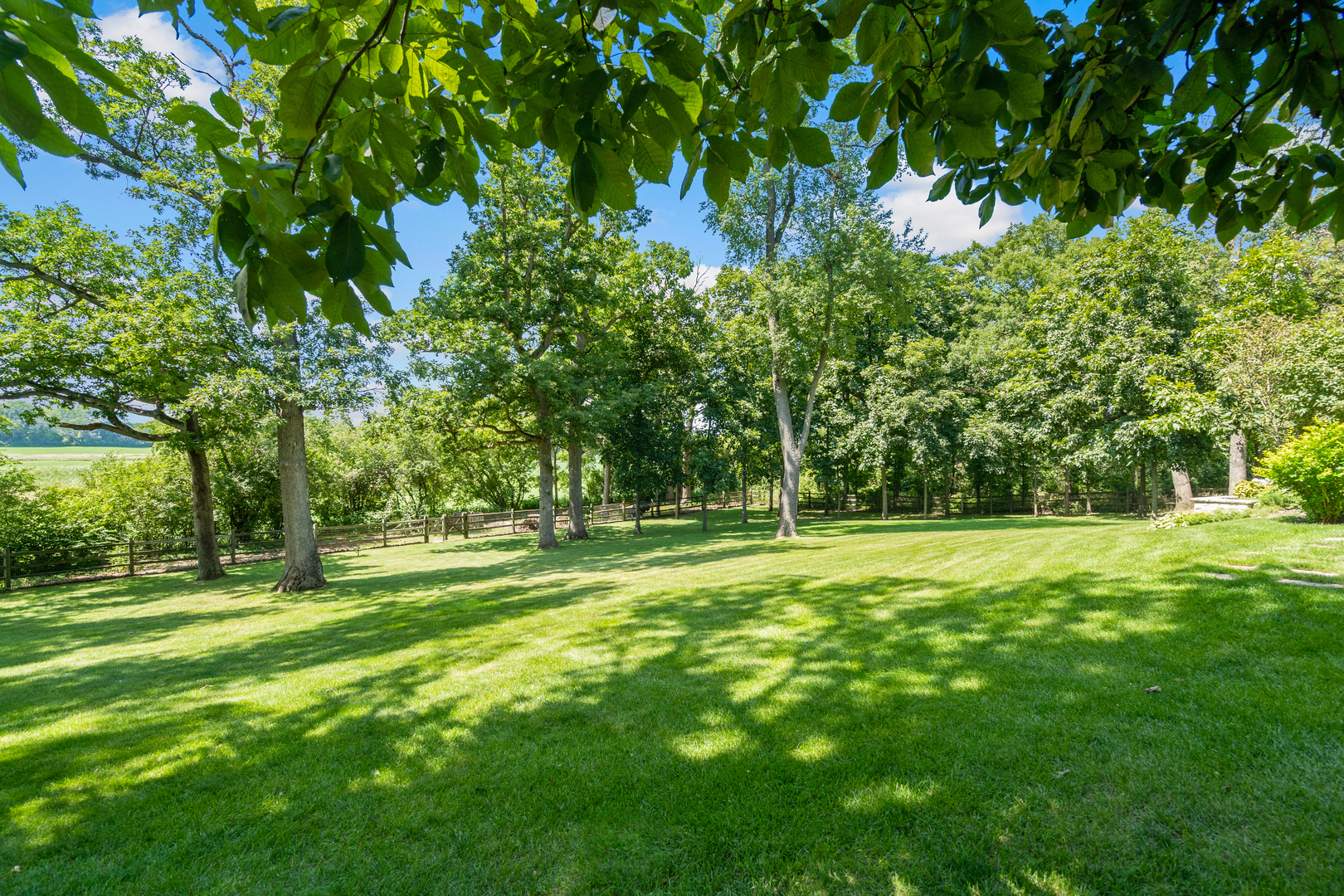 3S546 Finley Road Sugar Grove, IL 60554 - Photo 5 of 60 a big yard with lots of green space and trees