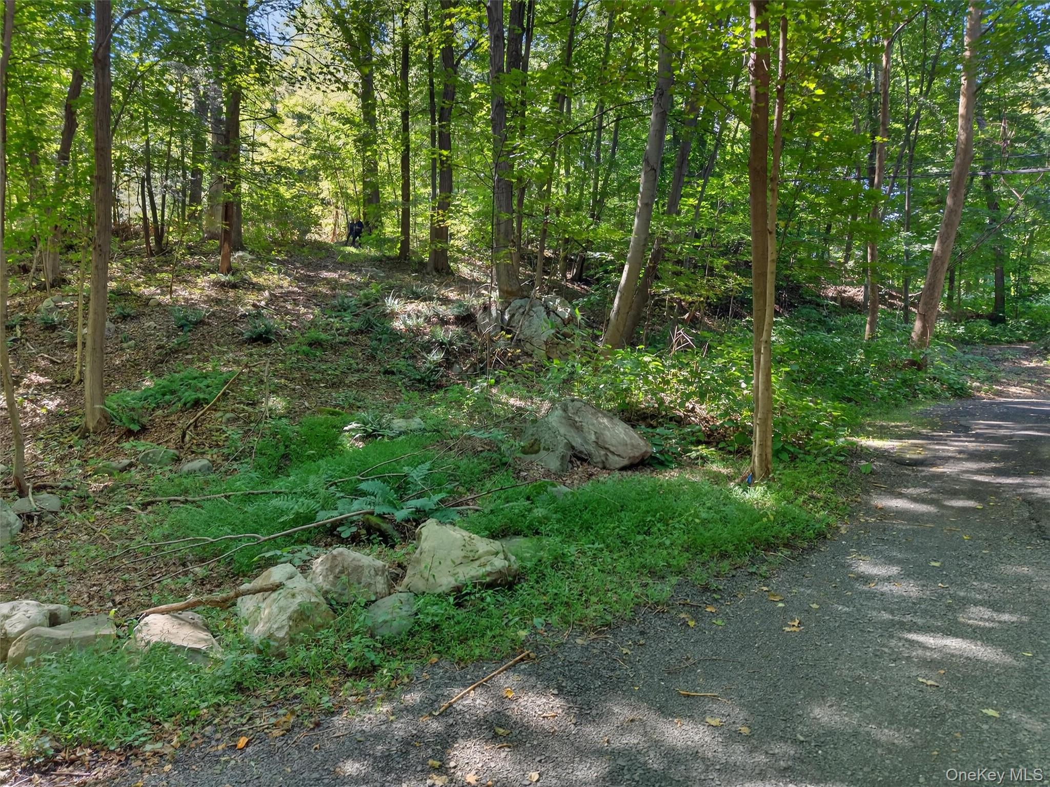331 Mountain Lodge Road Blooming Grove, NY 10950 - Photo 35 of 50 View of local wilderness