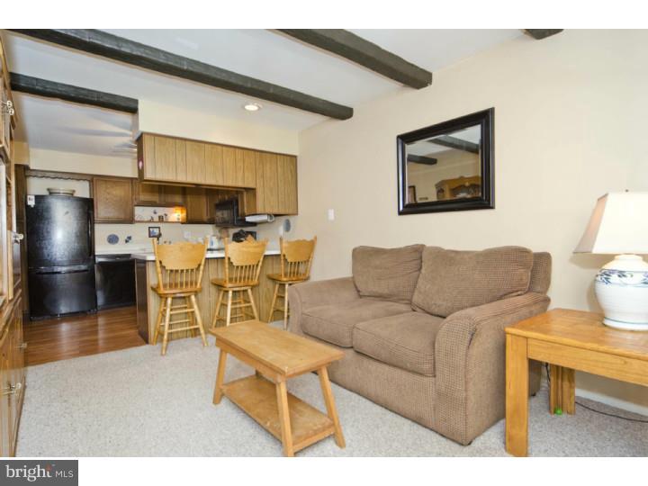 7 Providence Forge Road Royersford, PA 19468 - Photo 7 of 18 Den