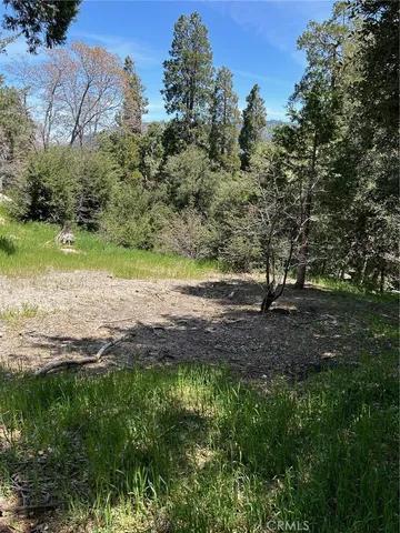 $56,000 | 1039 Jungfrau Drive, Crestline, CA 92325