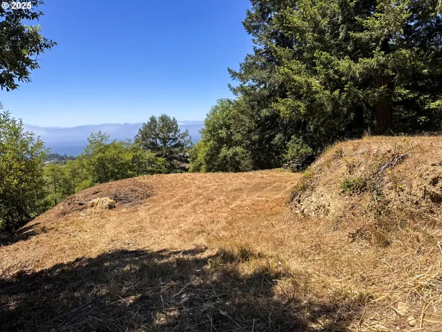 $249,999 | Upper Benham, Brookings, OR 97415