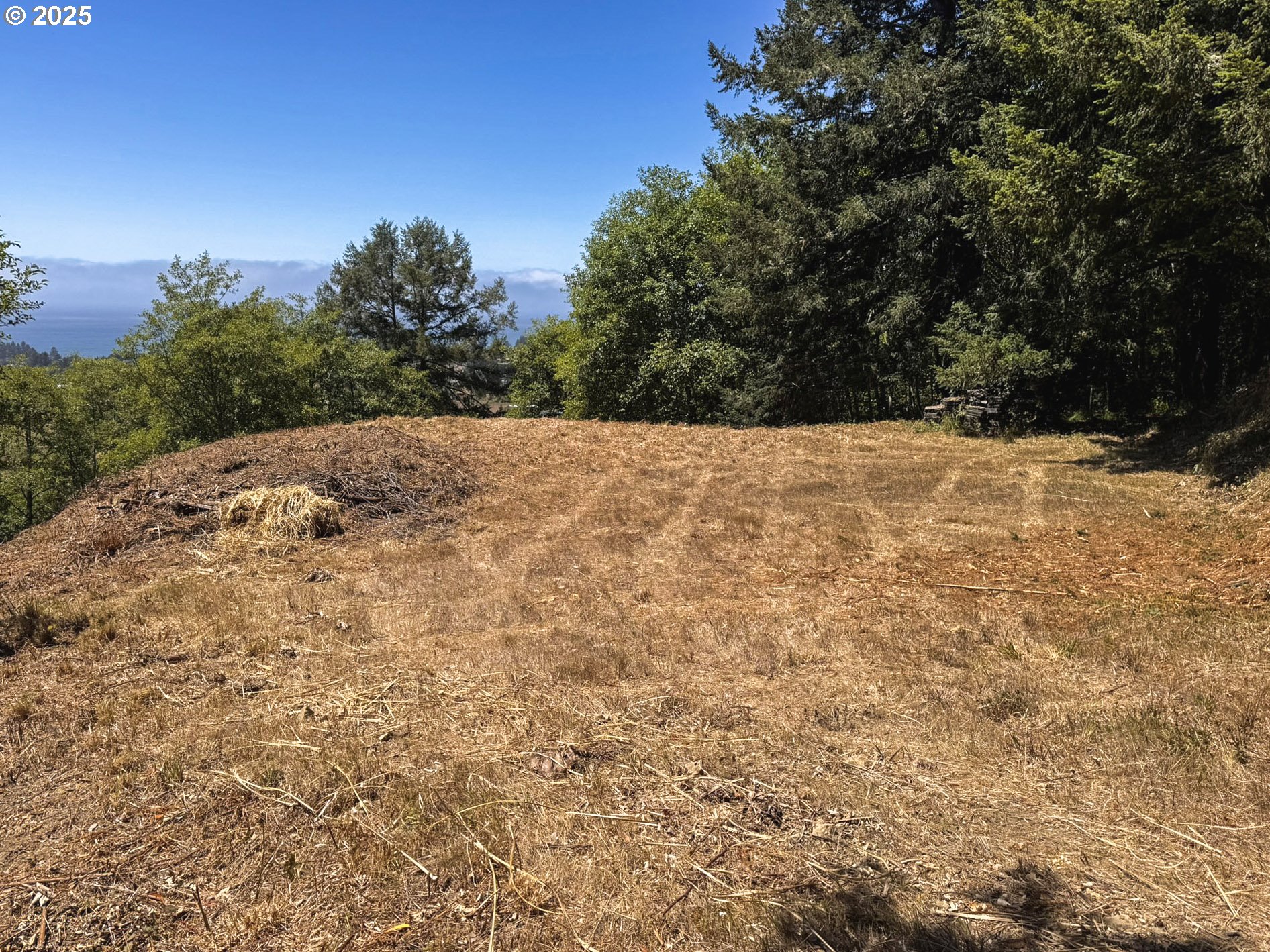Upper Benham Brookings, OR 97415 - Photo 12 of 31