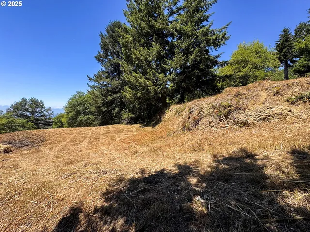 $249,999 | Upper Benham, Brookings, OR 97415