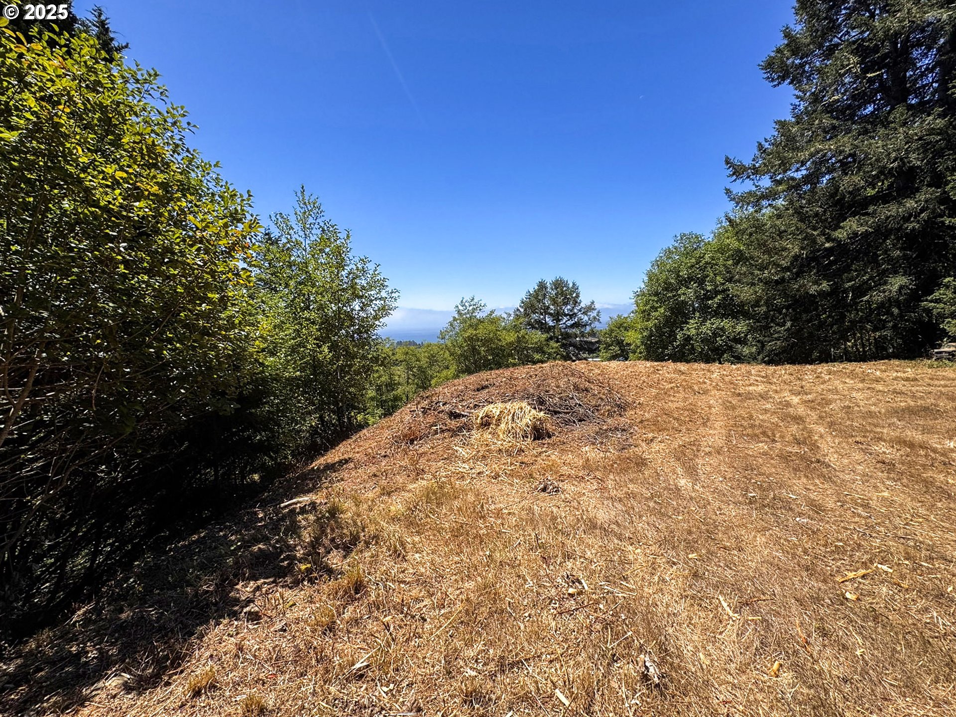 Upper Benham Brookings, OR 97415 - Photo 14 of 31