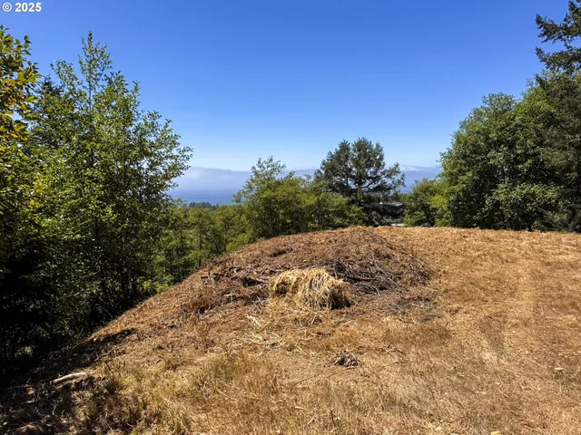 $249,999 | Upper Benham, Brookings, OR 97415