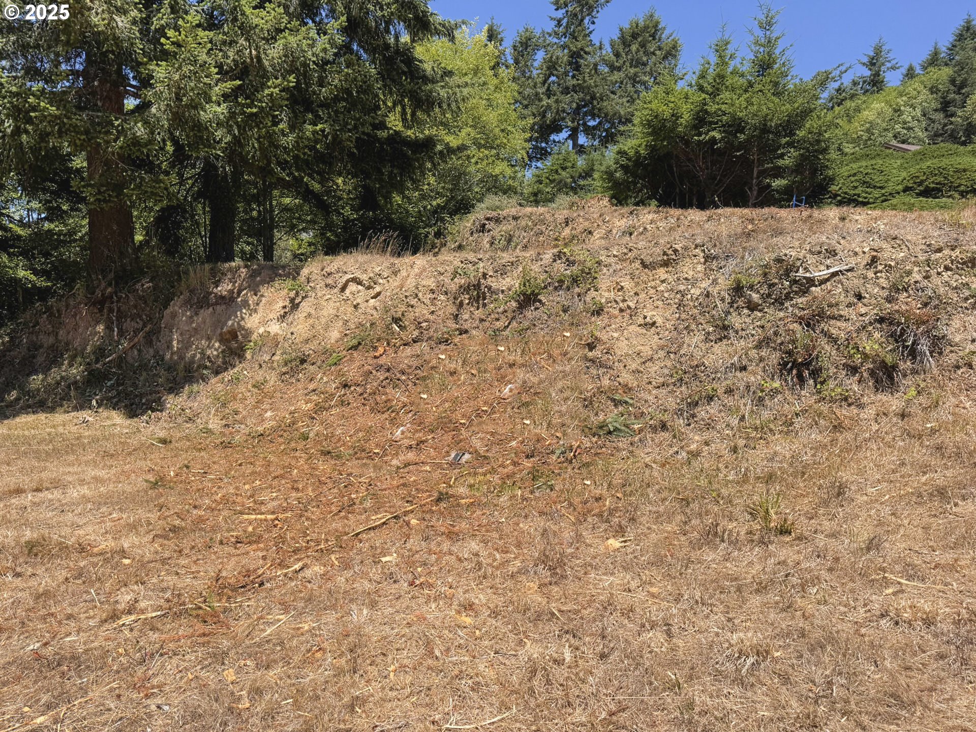 Upper Benham Brookings, OR 97415 - Photo 16 of 31