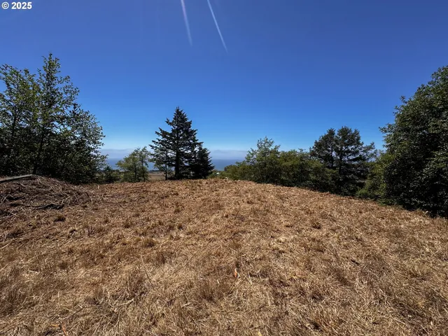 $249,999 | Upper Benham, Brookings, OR 97415