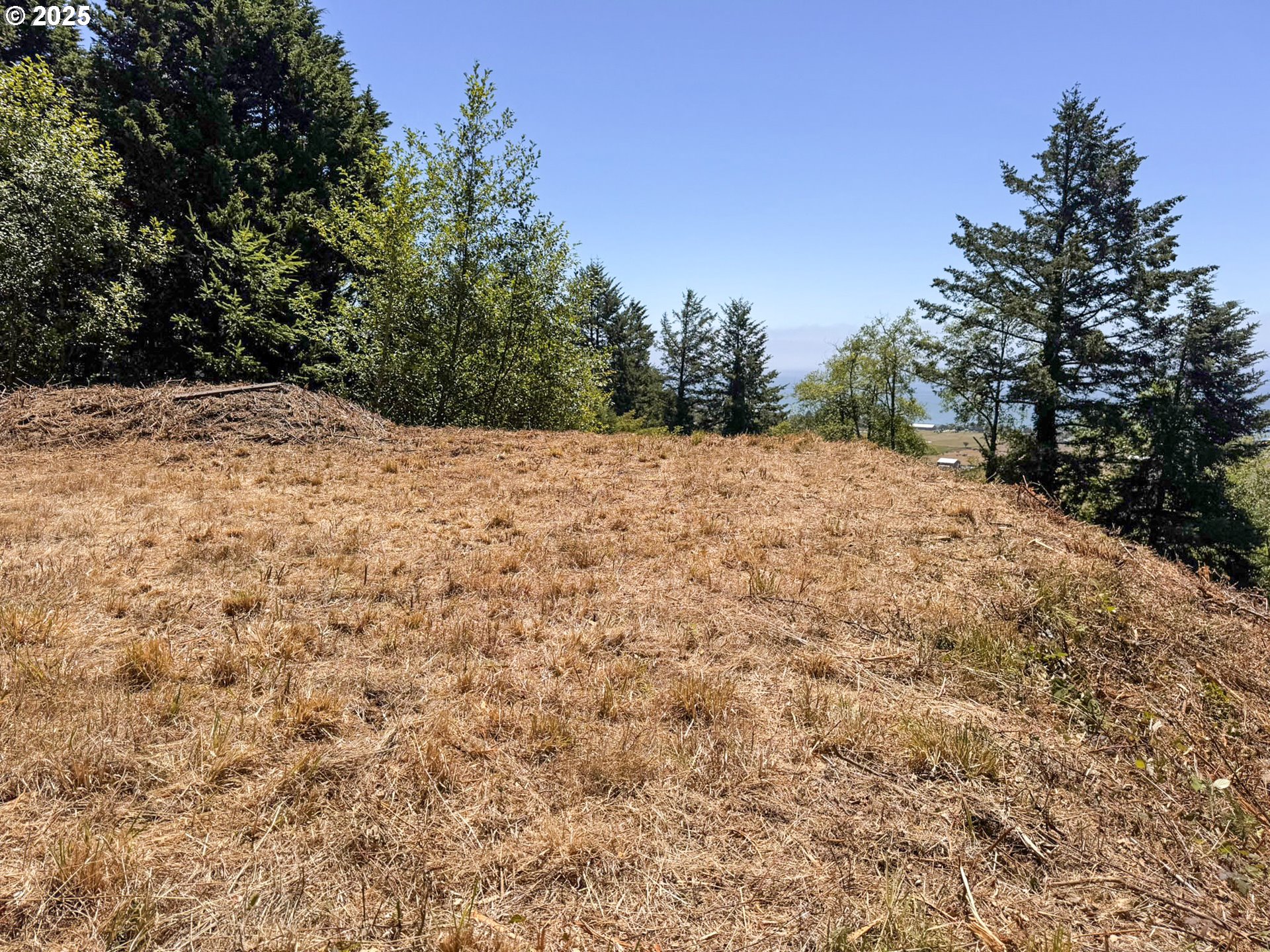 Upper Benham Brookings, OR 97415 - Photo 20 of 31