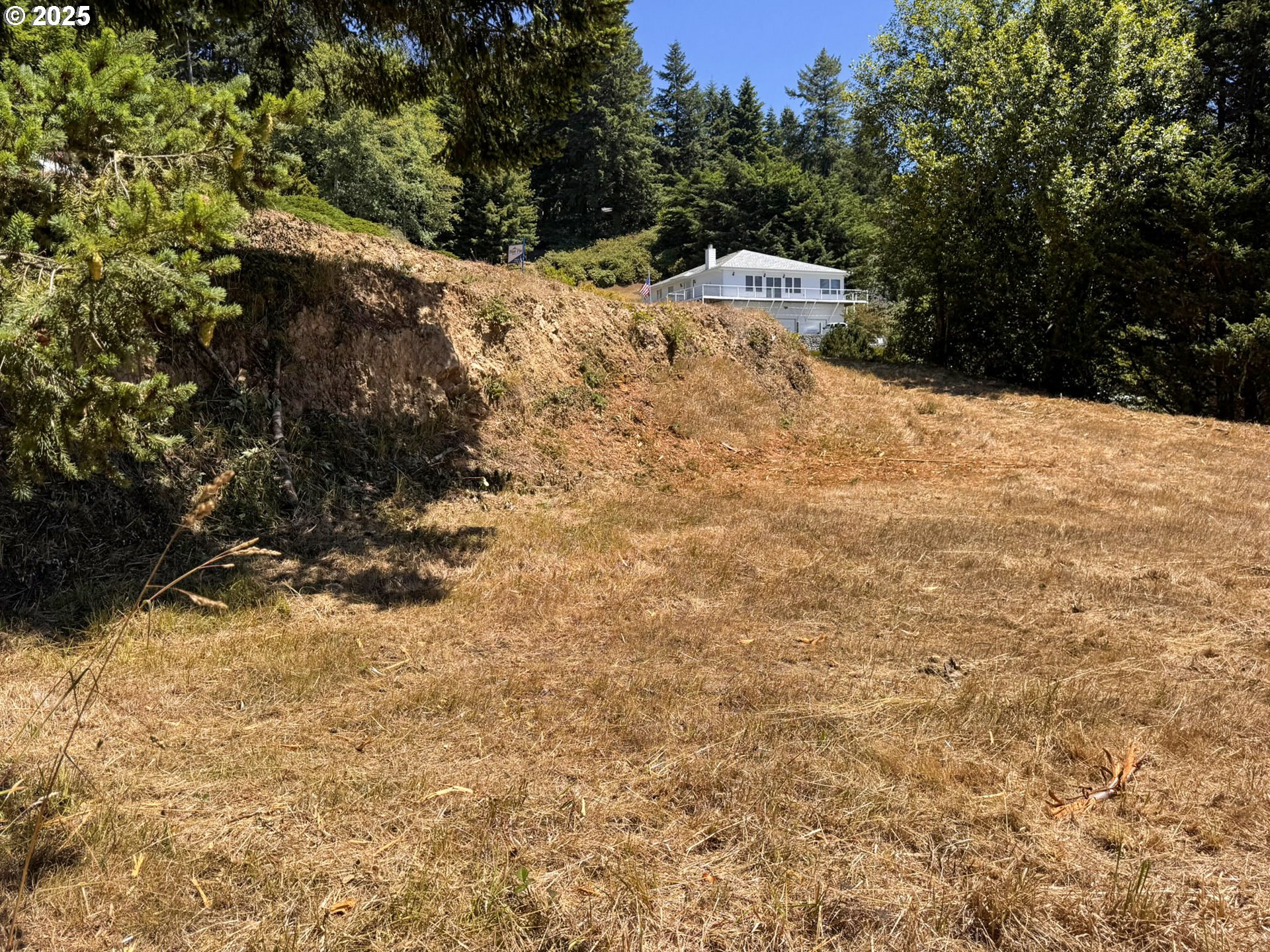 Upper Benham Brookings, OR 97415 - Photo 21 of 31