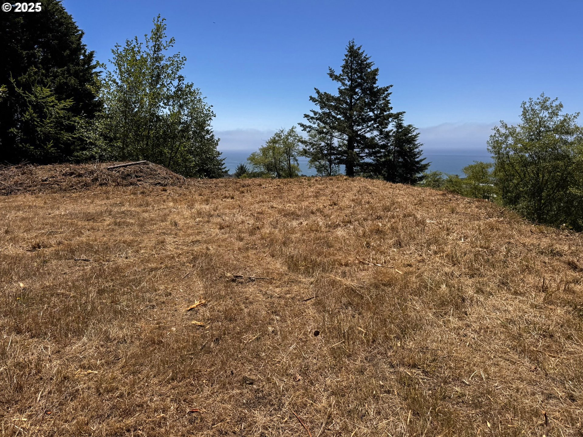 Upper Benham Brookings, OR 97415 - Photo 23 of 31