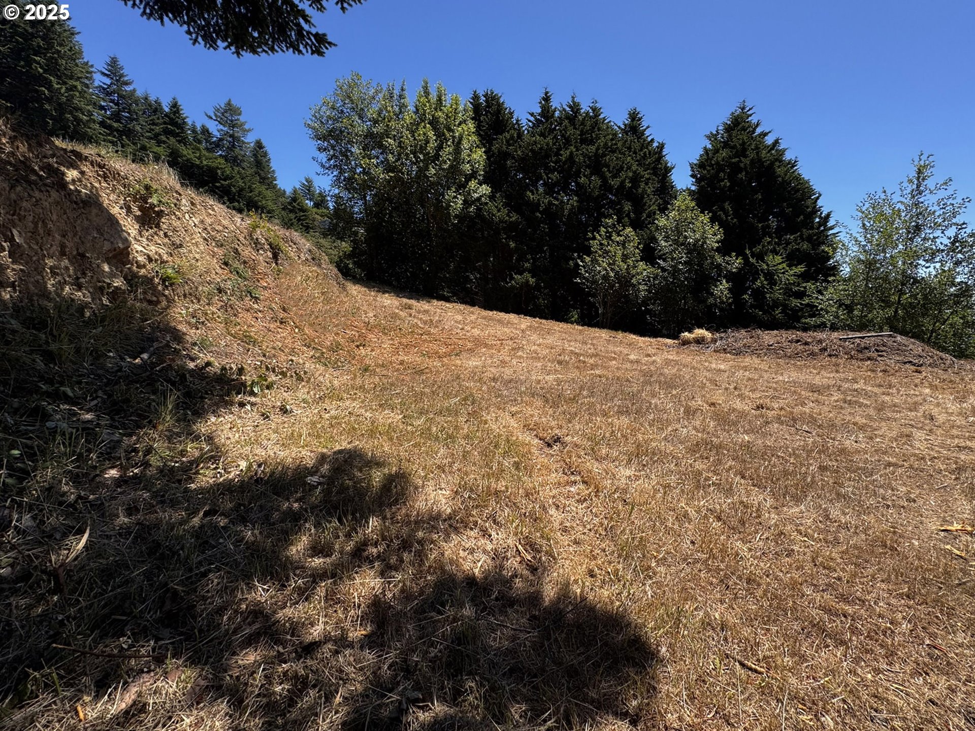 Upper Benham Brookings, OR 97415 - Photo 24 of 31