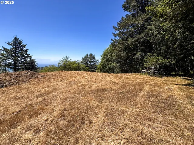 $249,999 | Upper Benham, Brookings, OR 97415