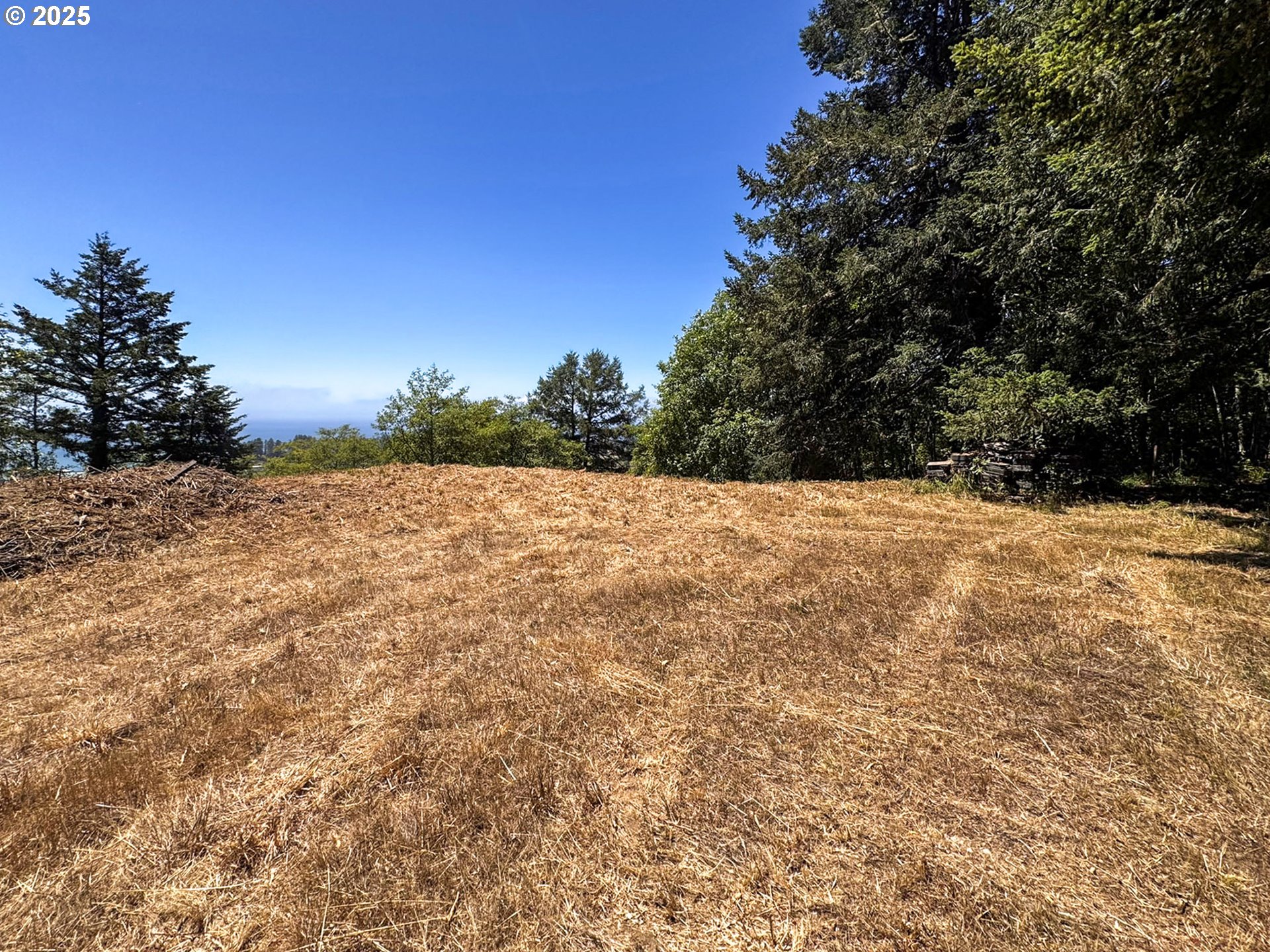 Upper Benham Brookings, OR 97415 - Photo 26 of 31