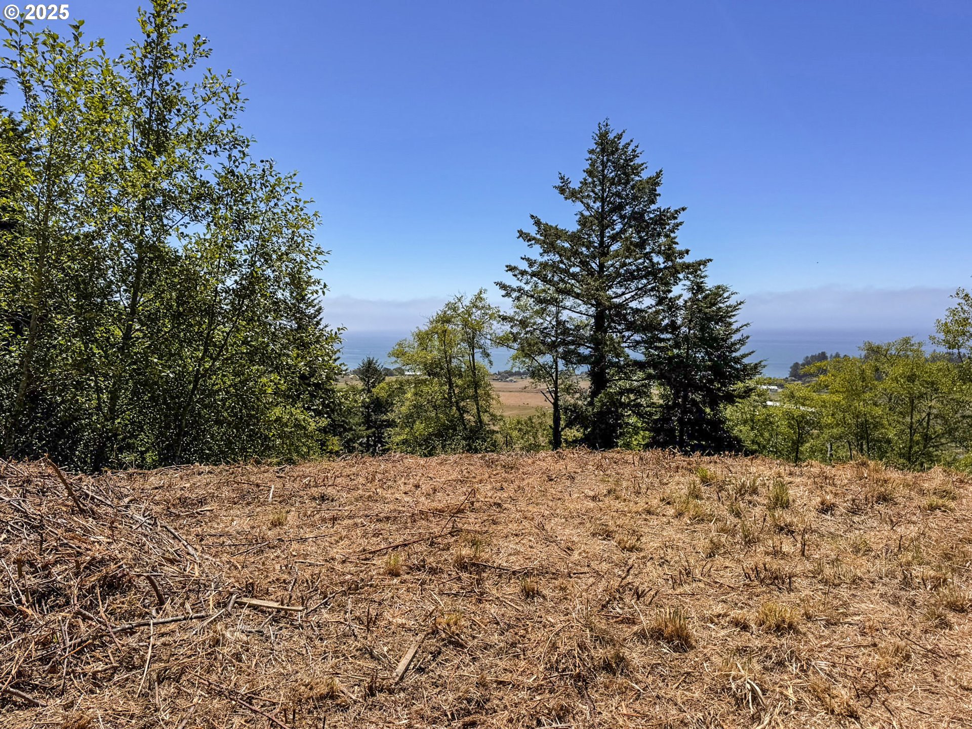 Upper Benham Brookings, OR 97415 - Photo 28 of 31