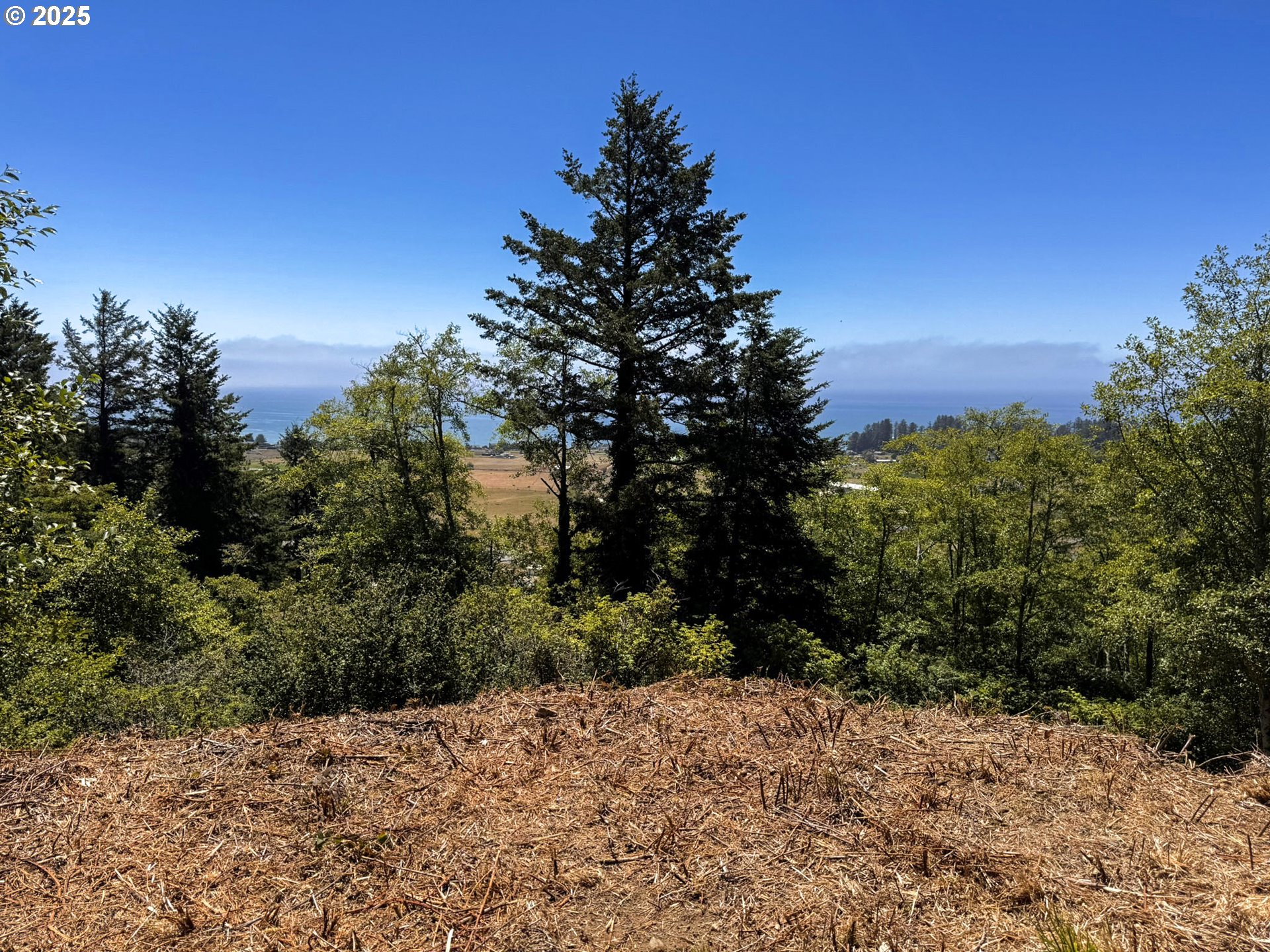 Upper Benham Brookings, OR 97415 - Photo 29 of 31