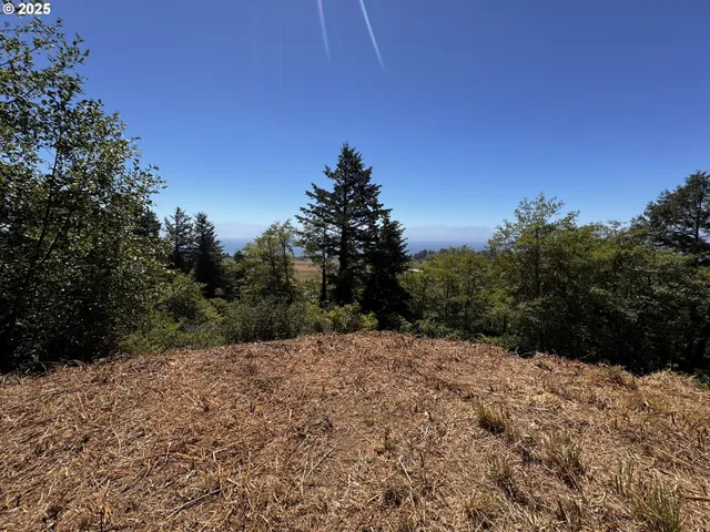 $249,999 | Upper Benham, Brookings, OR 97415