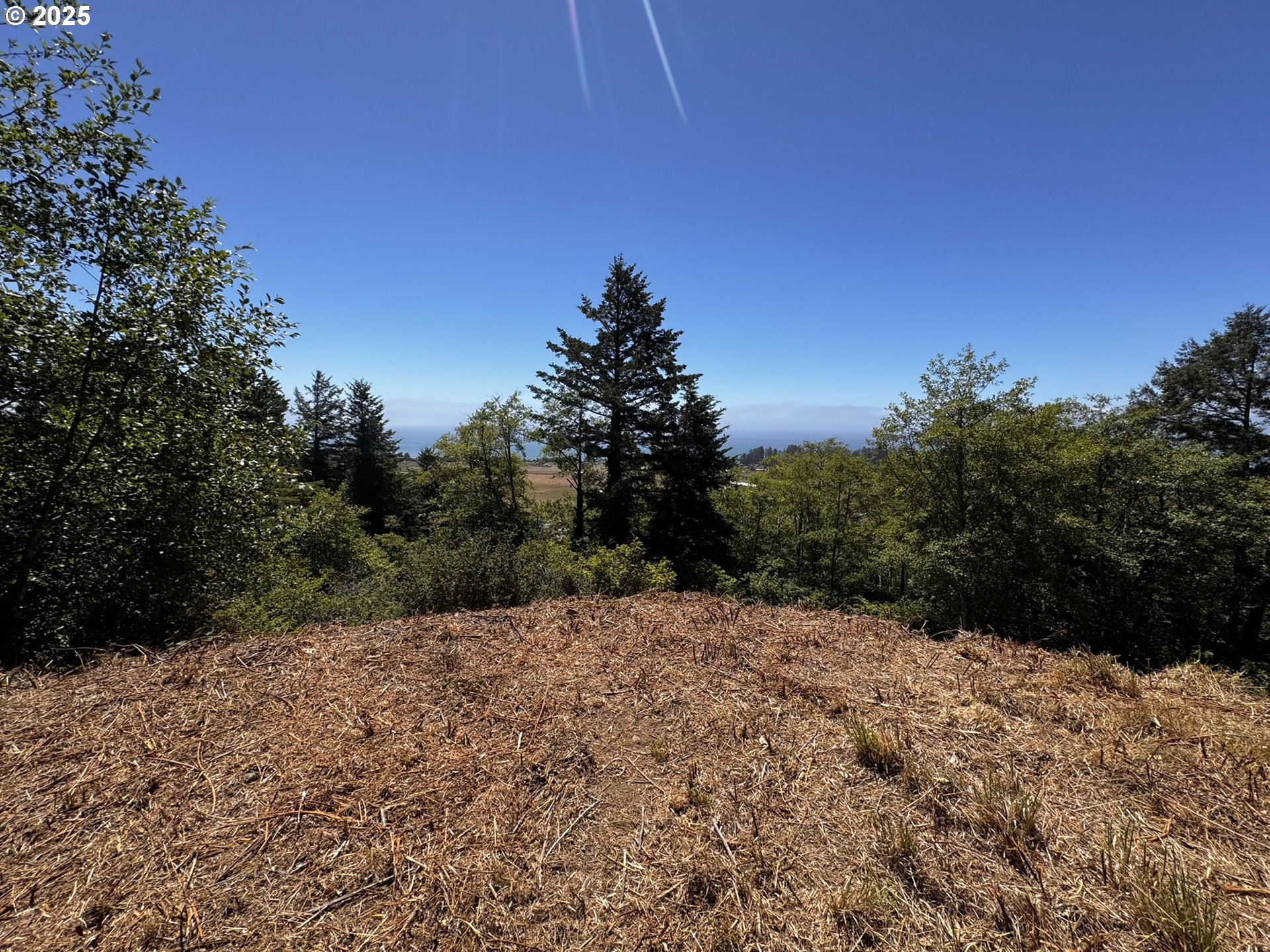 Upper Benham Brookings, OR 97415 - Photo 30 of 31