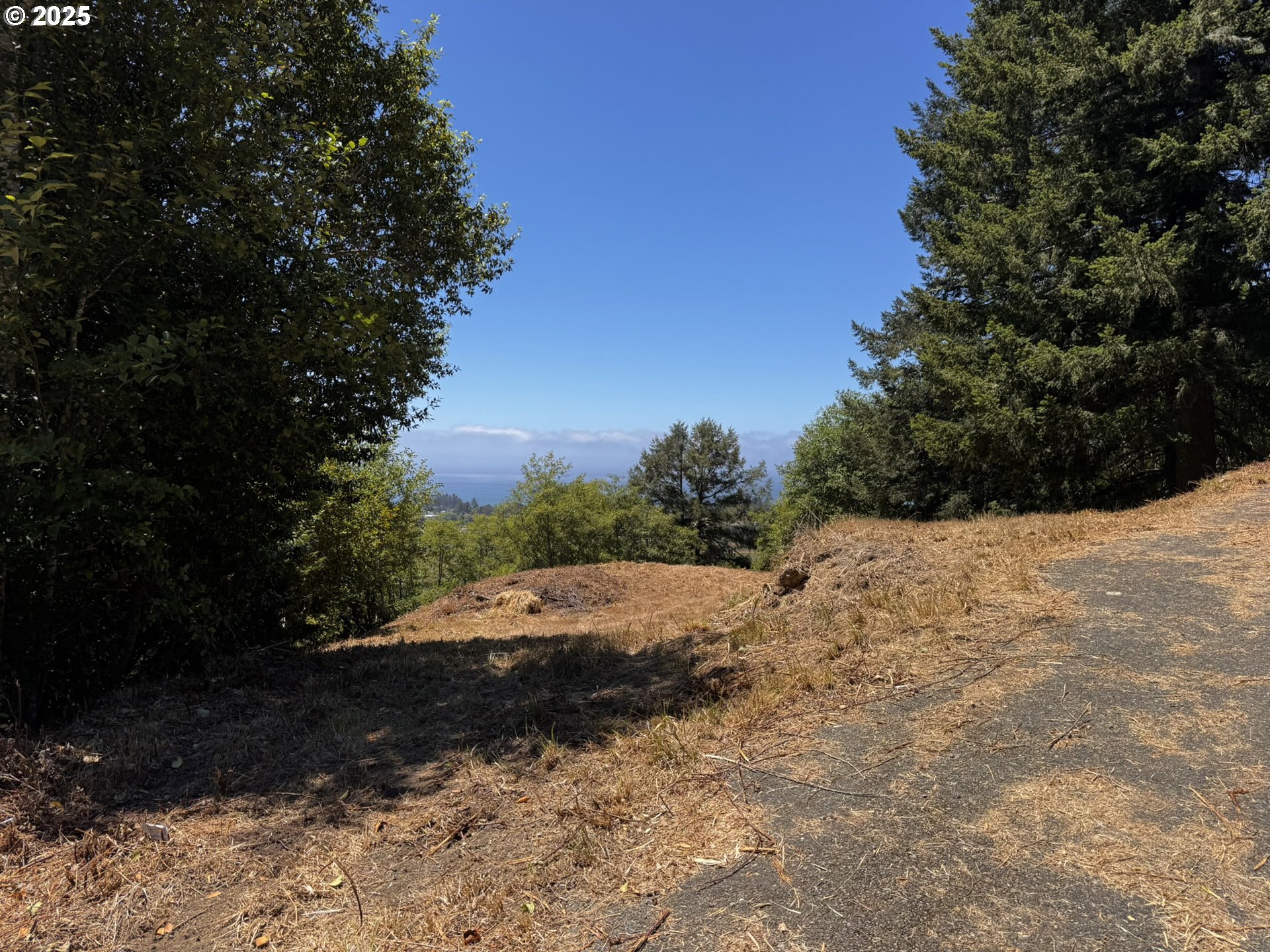 Upper Benham Brookings, OR 97415 - Photo 31 of 31