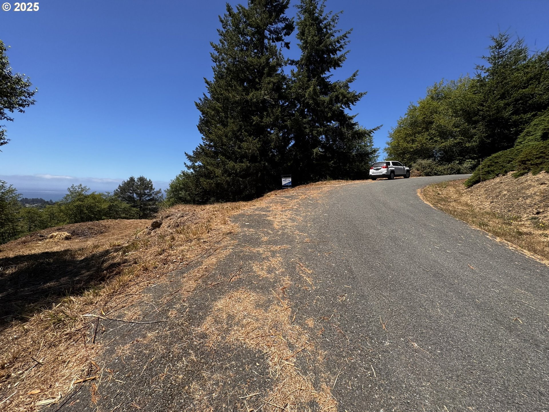 Upper Benham Brookings, OR 97415 - Photo 33 of 46 a view of a yard with a tree