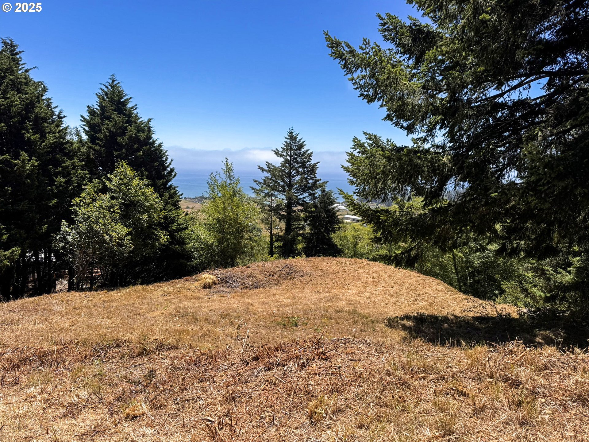 Upper Benham Brookings, OR 97415 - Photo 7 of 31