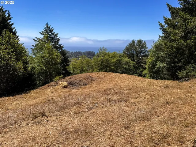 $249,999 | Upper Benham, Brookings, OR 97415