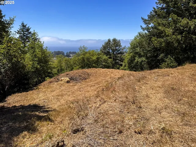 $249,999 | Upper Benham, Brookings, OR 97415