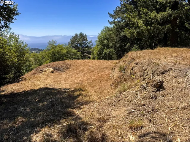 $249,999 | Upper Benham, Brookings, OR 97415