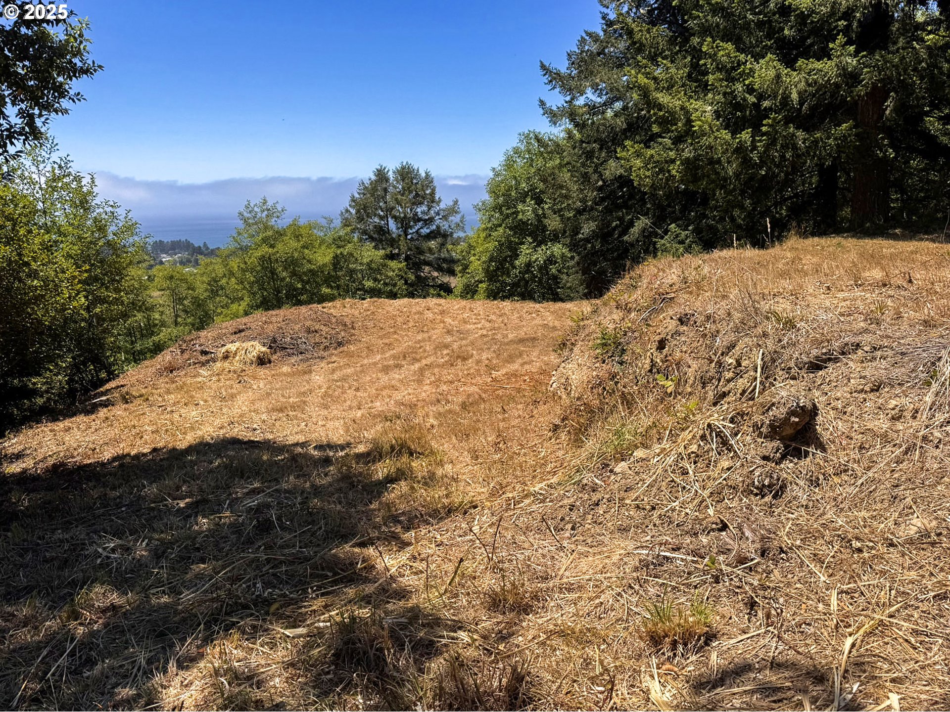 Upper Benham Brookings, OR 97415 - Photo 10 of 31