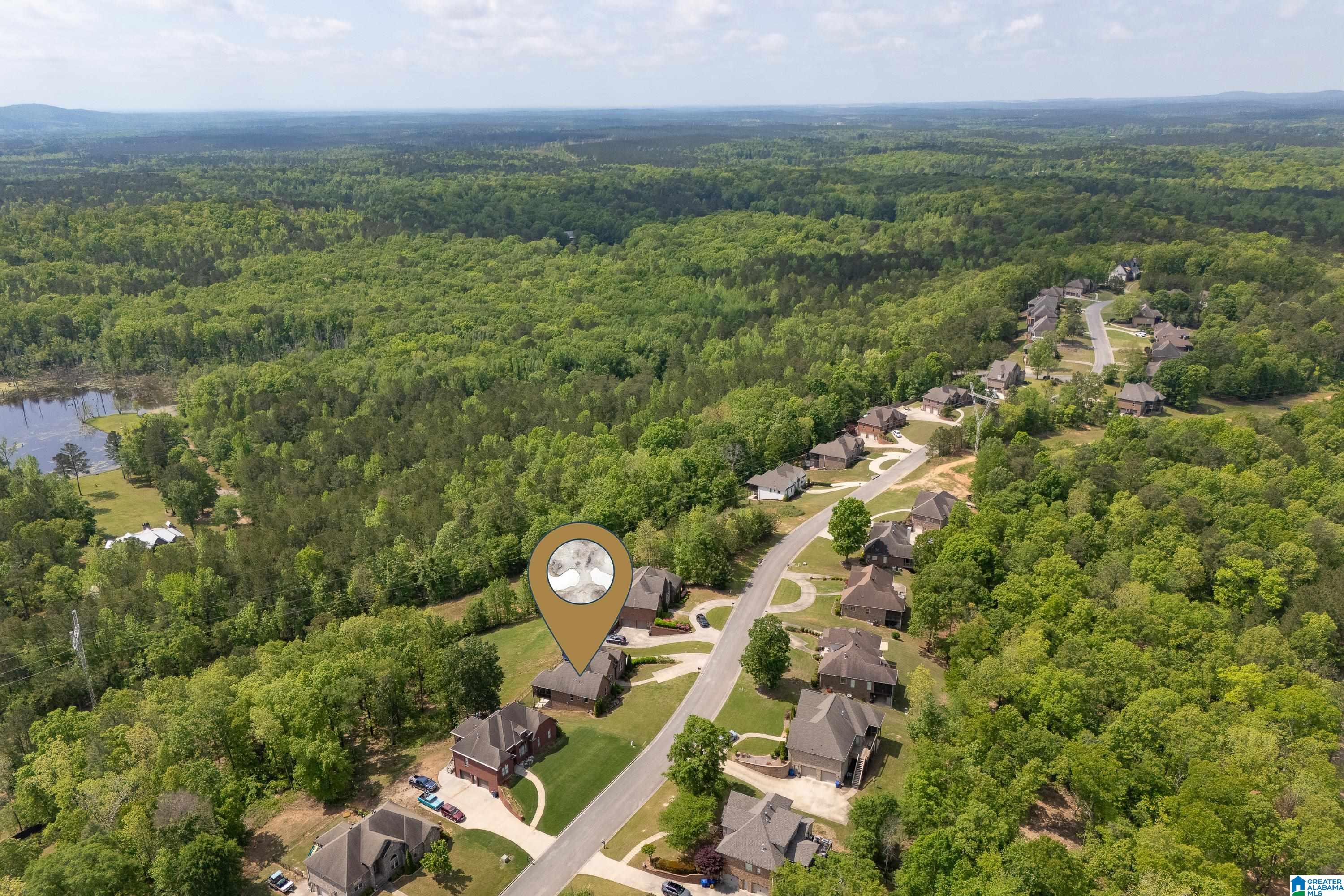 2120 Chelsea Rdg Drive Columbiana, AL 35051 - Photo 59 of 64